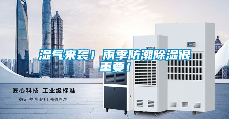 濕氣來(lái)襲！雨季防潮除濕很重要！