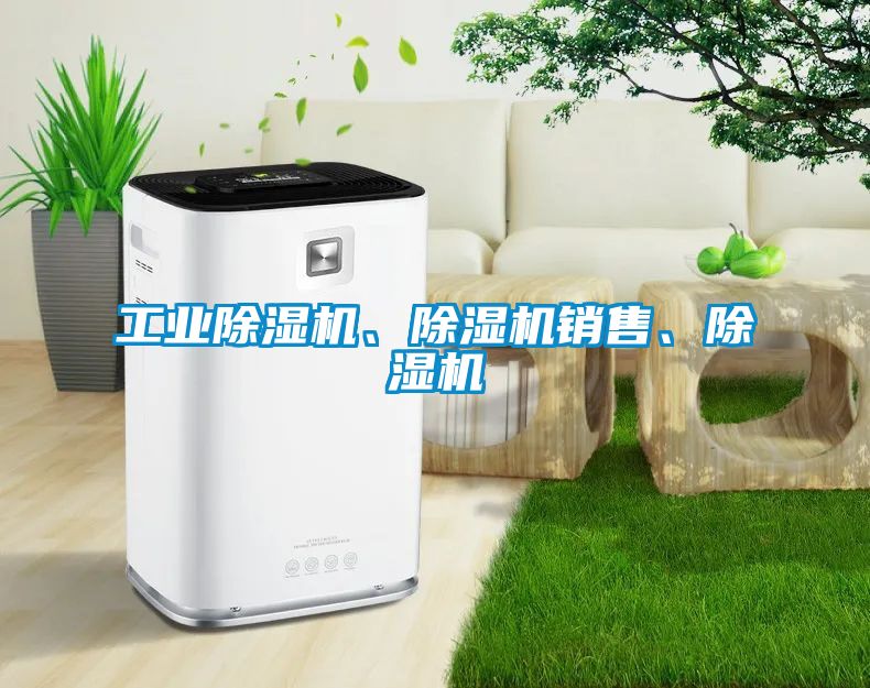 工業(yè)除濕機(jī)、除濕機(jī)銷售、除濕機(jī)